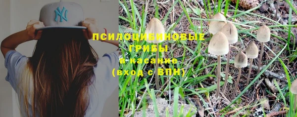 mdpv Вяземский