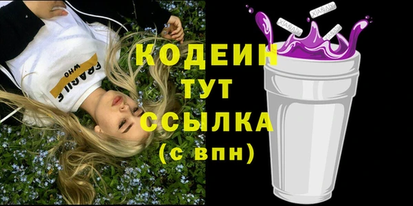 mdpv Вяземский
