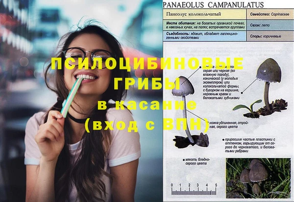 apvp Вязьма