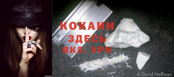 mdpv Вяземский