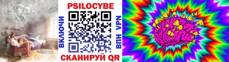 Псилоцибиновые грибы Psilocybe  Купить где  Никольск 